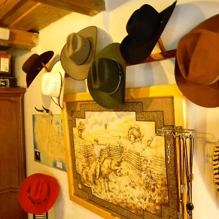 Venkovský dům Transylvania Cowboy