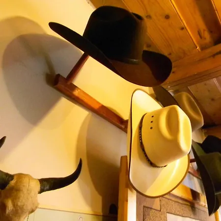 Venkovský dům Transylvania Cowboy Kluž