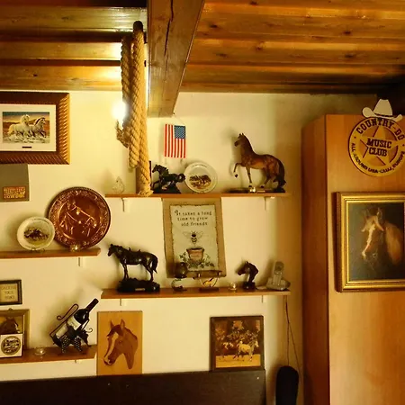 Venkovský dům Transylvania Cowboy Kluž