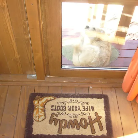 Transylvania Cowboy Kluž